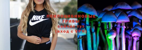 дживик Карпинск