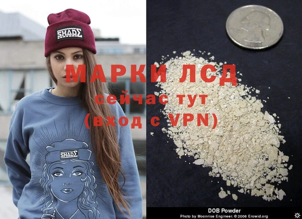 jwh Каменногорск