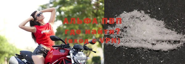 ГАЛЛЮЦИНОГЕННЫЕ ГРИБЫ Касимов