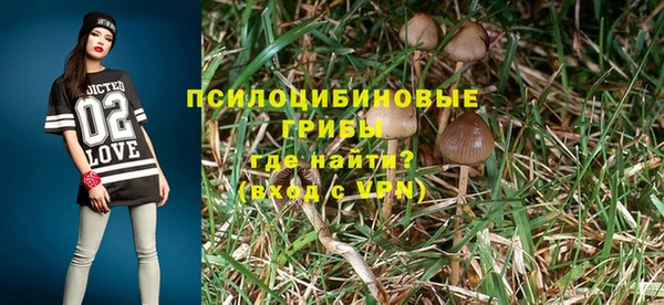 ГАЛЛЮЦИНОГЕННЫЕ ГРИБЫ Касимов
