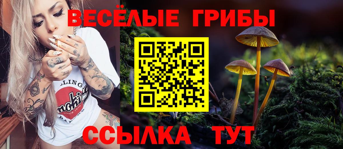 Псилоцибиновые грибы Magic Shrooms  Абакан 