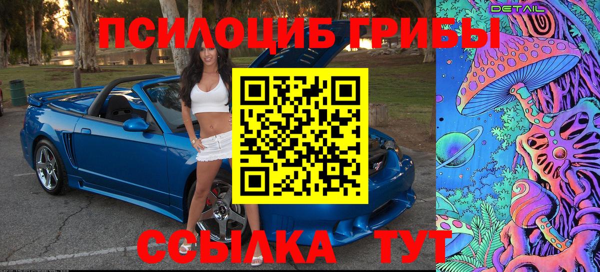 Псилоцибиновые грибы GOLDEN TEACHER Абакан